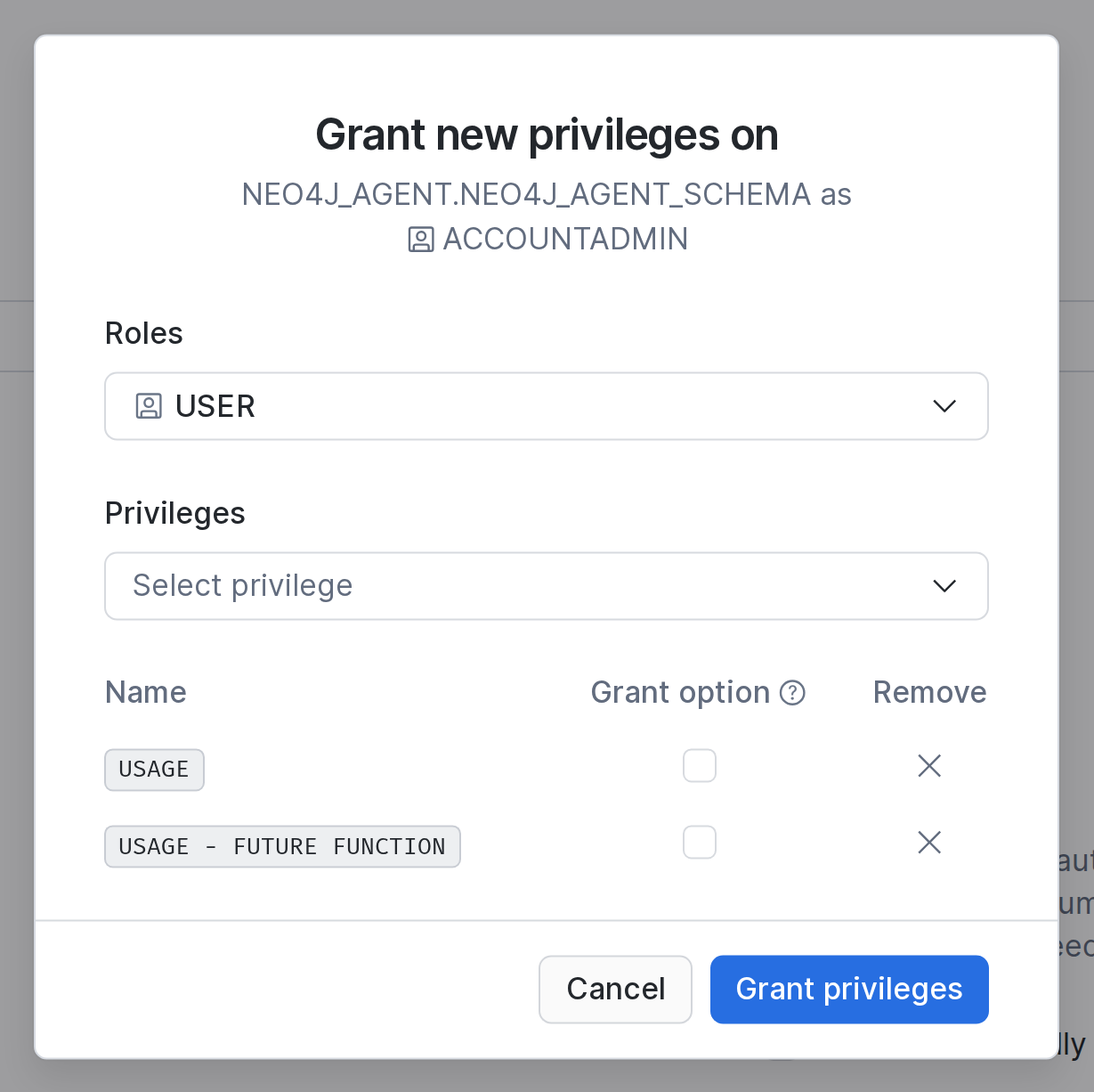 Grant dialog: role USER with USAGE and USAGE - FUTURE FUNCTION